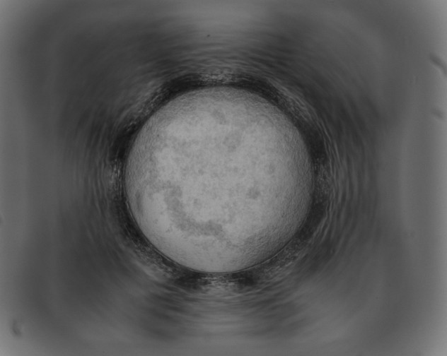X0000092330601200710121535