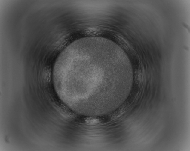 X0000092330602200710121535