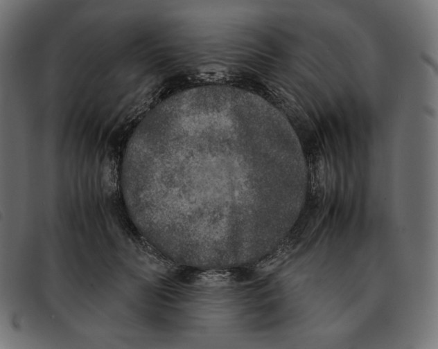 X0000092330606200710121535