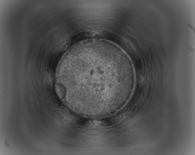 X0000092330607200710121535