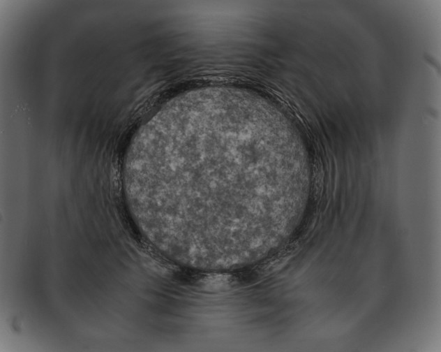 X0000092330609200710121535
