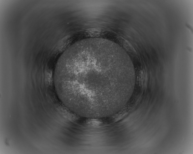 X0000092330610200710121535