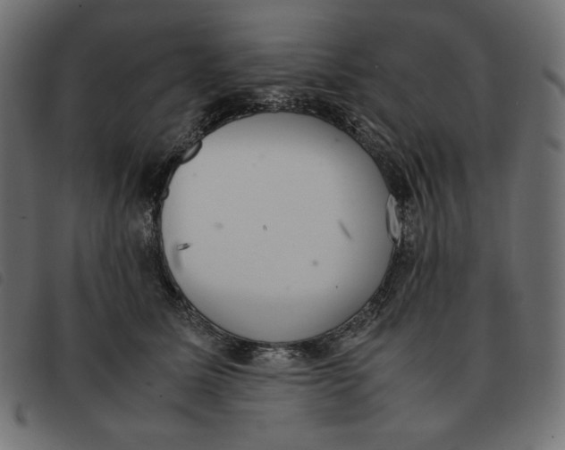 X0000092330611200710121535