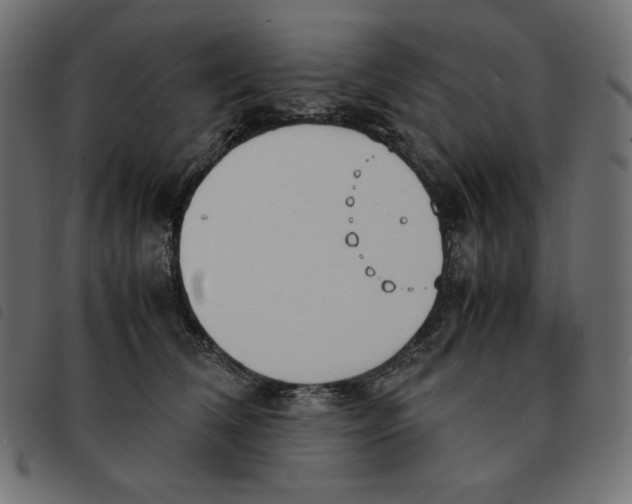 X0000092330612200710121535