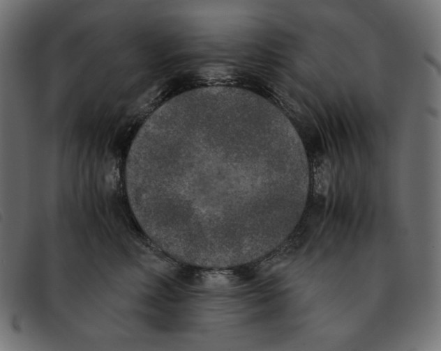 X0000092330618200710121535