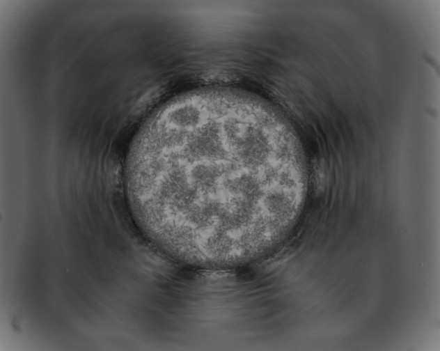 X0000092330619200710121535
