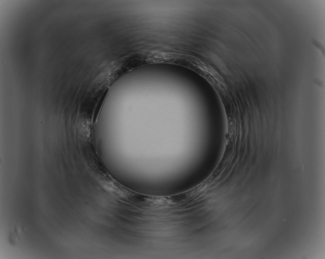 X0000092330621200710121535
