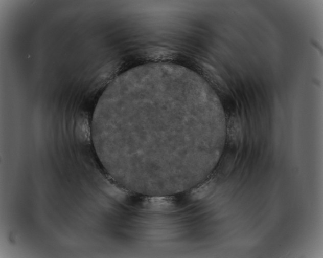 X0000092330622200710121535