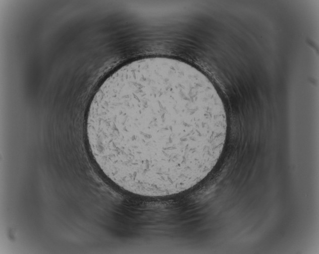 X0000092330625200710121534