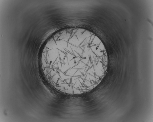 X0000092330626200710121534
