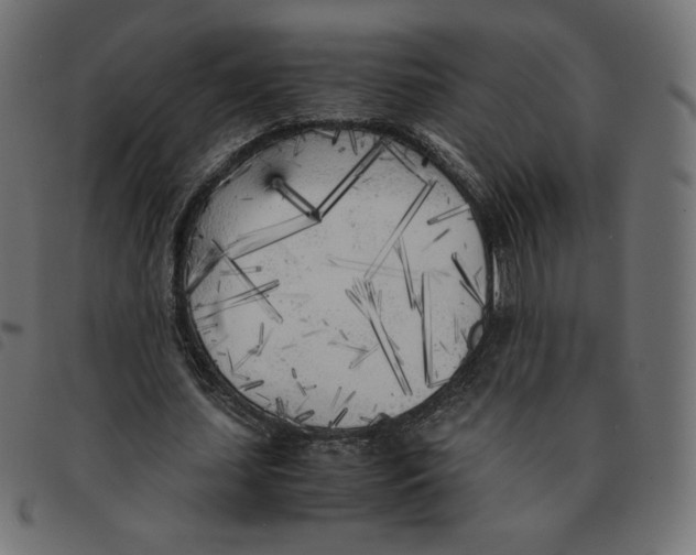 X0000092330627200710121534
