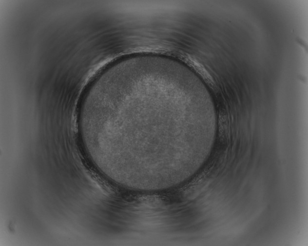 X0000092330628200710121534