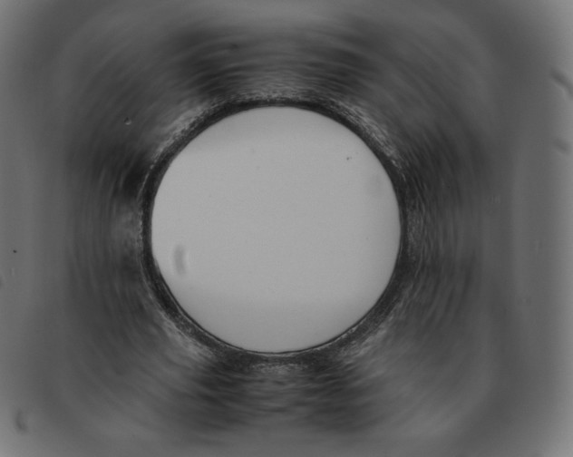 X0000092330629200710121534