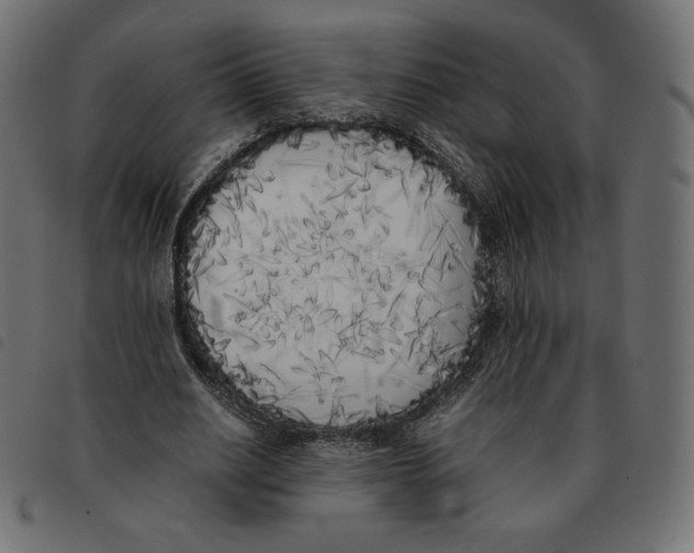 X0000092330630200710121534