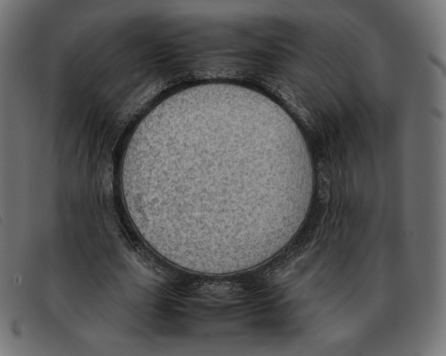 X0000092330631200710121534