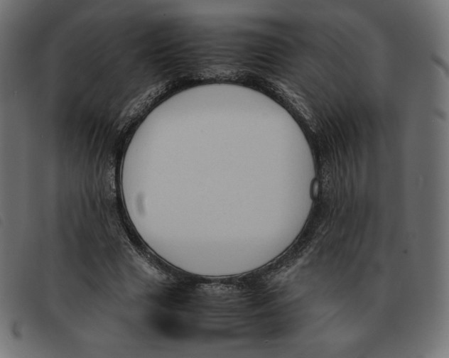 X0000092330633200710121534