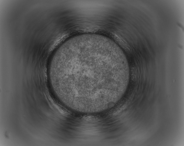 X0000092330634200710121534