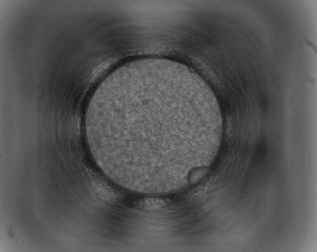 X0000092330636200710121534