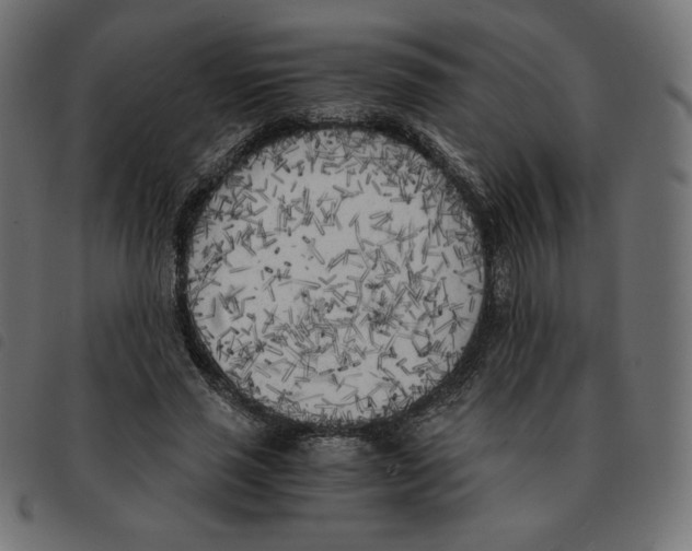 X0000092330637200710121534