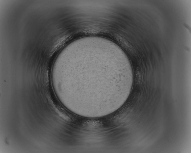 X0000092330638200710121534