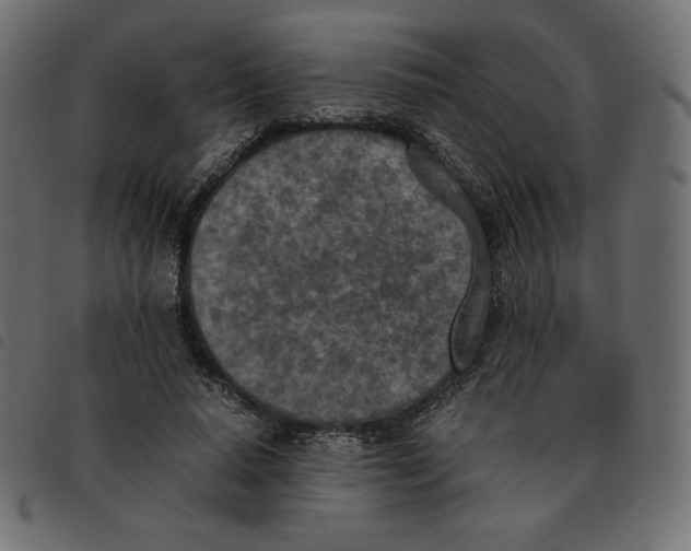 X0000092330640200710121535