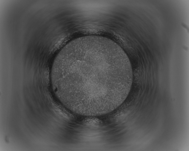 X0000092330642200710121535