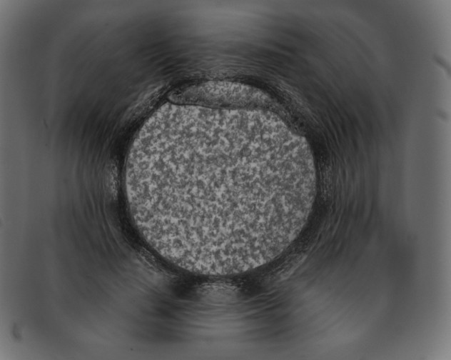 X0000092330644200710121535