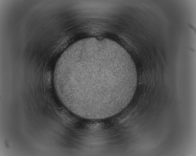 X0000092330646200710121535
