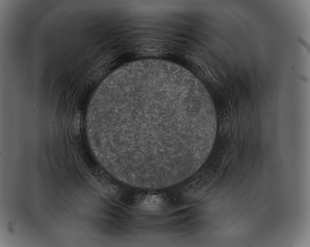 X0000092330647200710121535