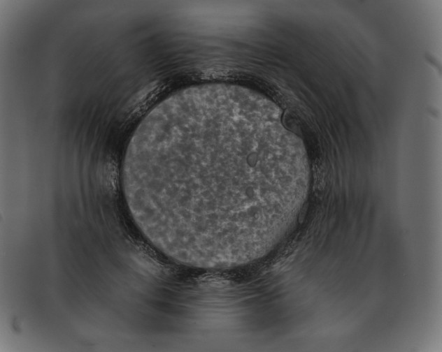 X0000092330648200710121535