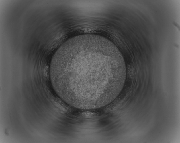 X0000092330650200710121535