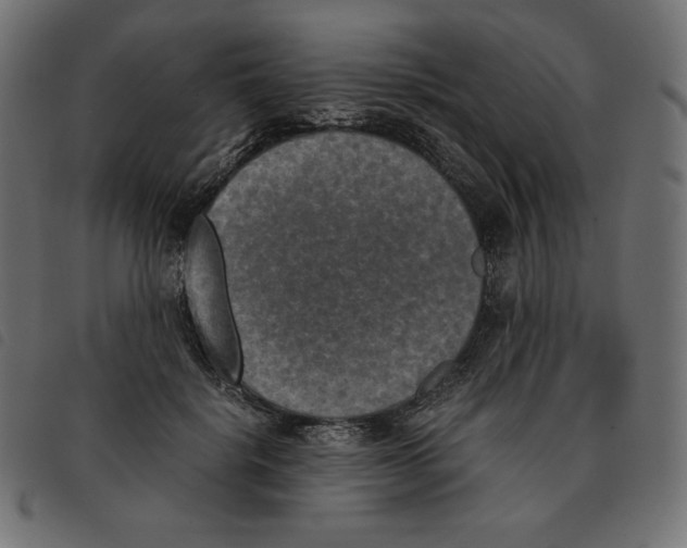 X0000092330652200710121535
