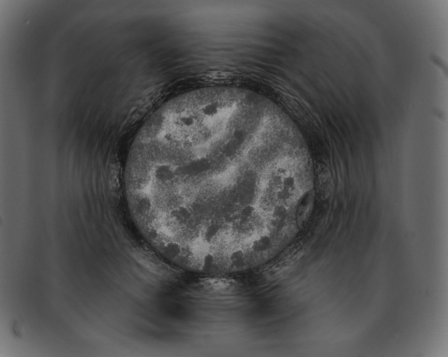 X0000092330654200710121535