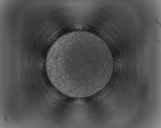 X0000092330656200710121535