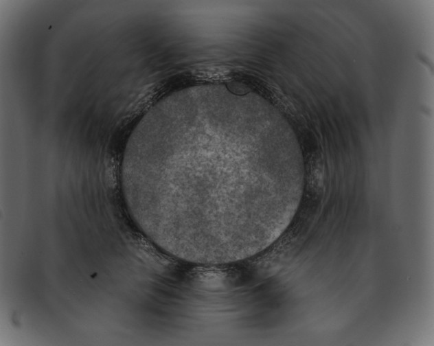 X0000092330658200710121535