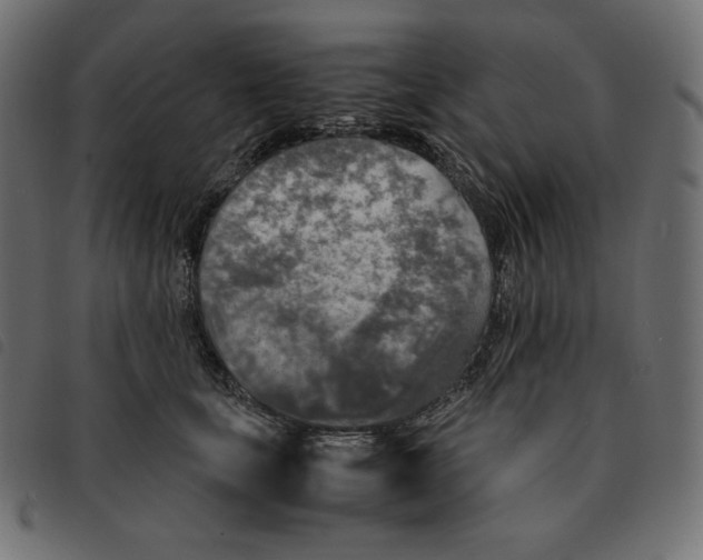 X0000092330659200710121535