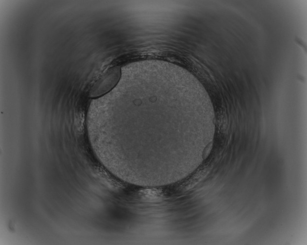 X0000092330660200710121535