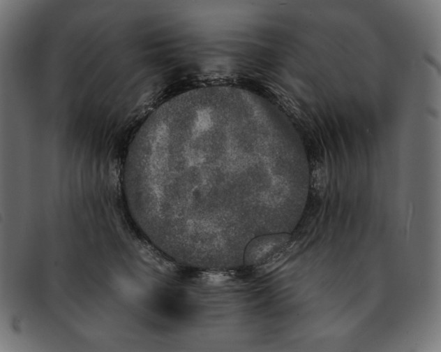 X0000092330662200710121535