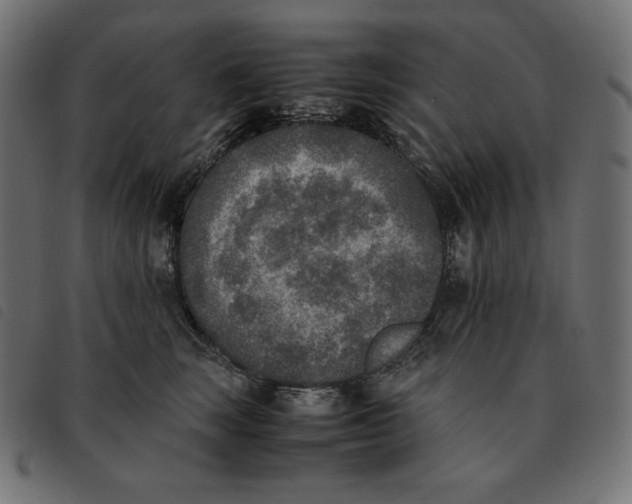 X0000092330663200710121535