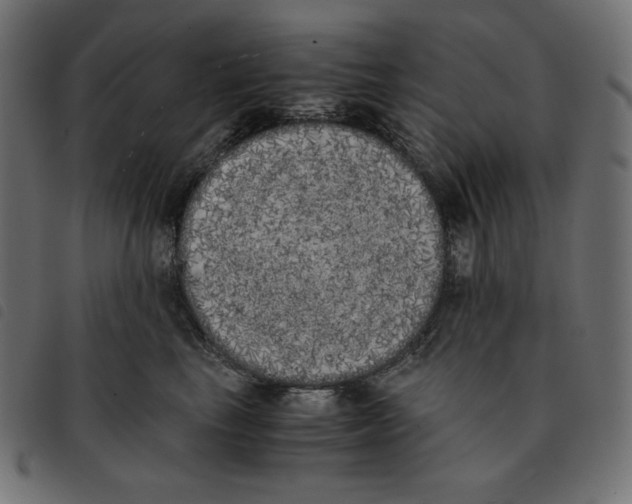 X0000092330665200710121535