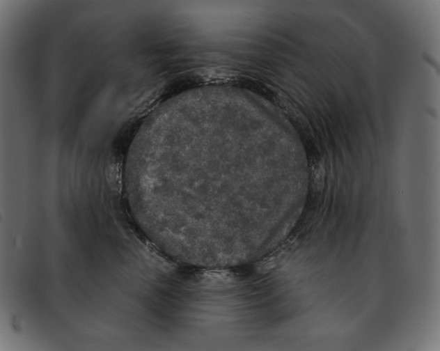 X0000092330666200710121535