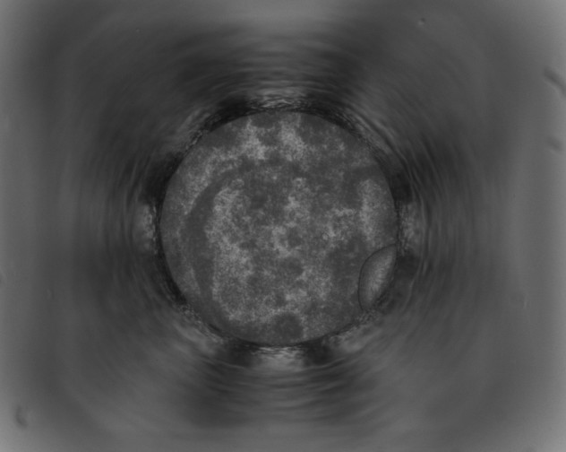 X0000092330667200710121535