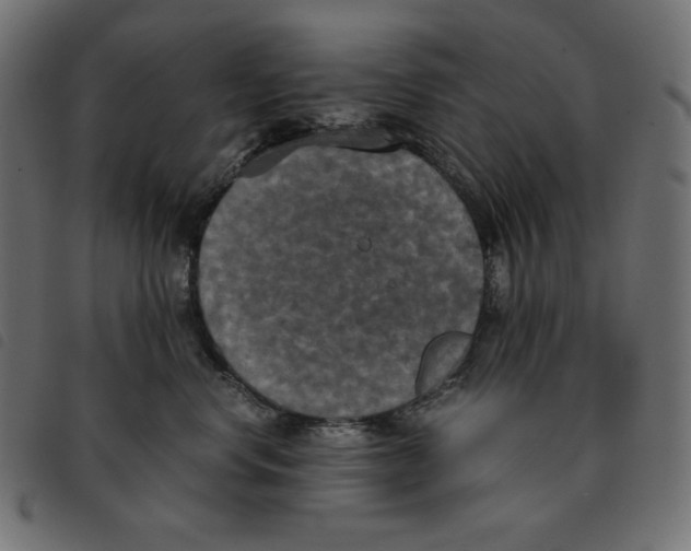 X0000092330668200710121535