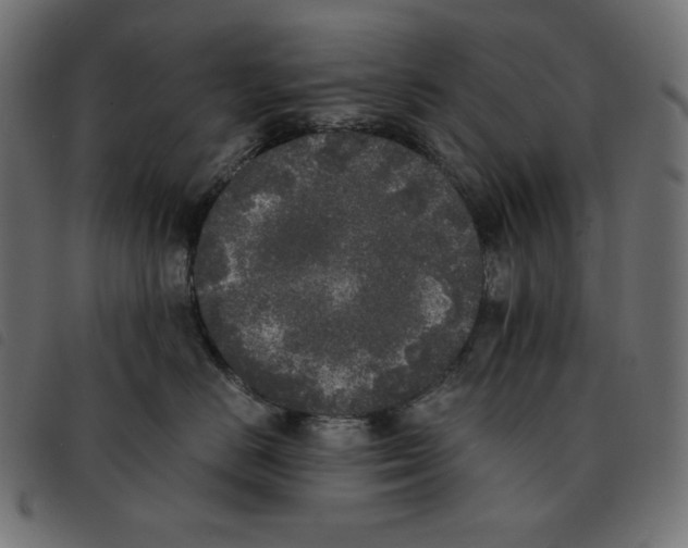 X0000092330670200710121535