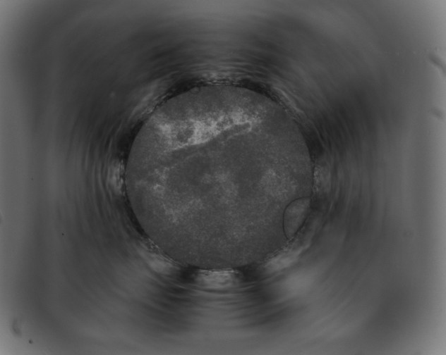 X0000092330671200710121535