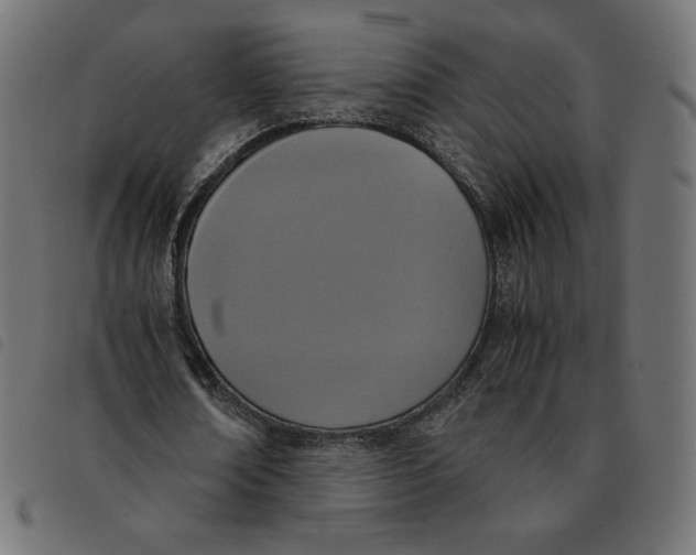 X0000092330674200710121534