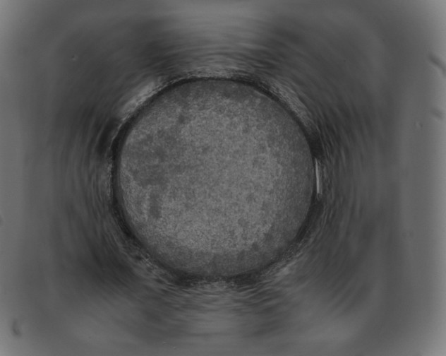 X0000092330675200710121534