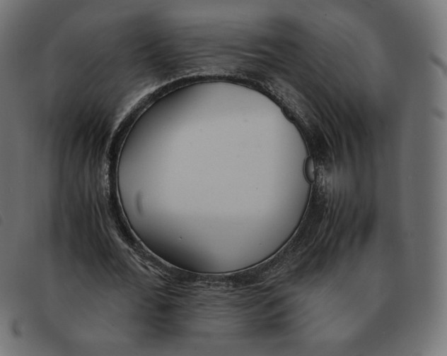 X0000092330676200710121534