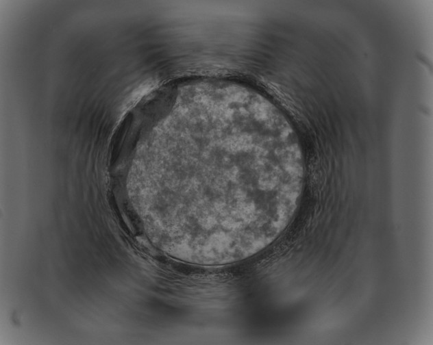 X0000092330679200710121534