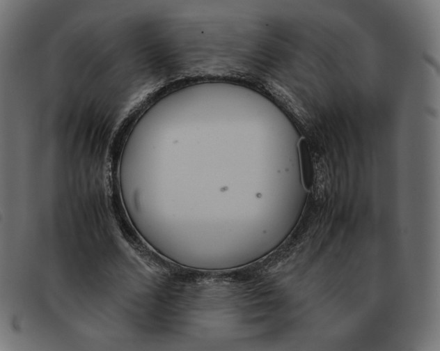 X0000092330680200710121534